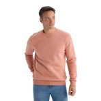 DeFacto Regular Fit Bisiklet Yaka Kalın Basic Düz Sweatshirt, S, T3777AZ25SP, Pembe-PN602, erkek