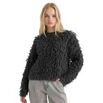 DeFacto Regular Fit Bisiklet Yaka Triko Kazak, M, G8228AX25WN, Antrasit-AR50, Kadın
