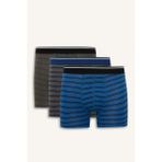 DeFacto Regular Fit Çizgili 3'lü Boxer G8165AX26SP - M