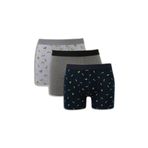 DeFacto Regular Fit Meyve Baskılı 3'lü Boxer, S, G9375AX26SP, Lacivert-NV135, erkek