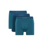 DeFacto Regular Fit Şal Desenli 3'lü Boxer, L, G9279AX26SP, Mavi-BE785, erkek