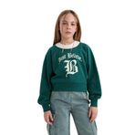 DeFacto Relax Fit Bisiklet Yaka Baskılı İçi Yumuşak Tüylü Sweatshirt Kız Çocuk, 7-8 Yaş, D7042A824WN, Yeşil-GN1116, kız-çocuk