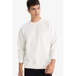 DeFacto Relax Fit Bisiklet Yaka Kalın İçi Yumuşak Tüylü Basic Düz Sweatshirt, L, T5139AZ25AU, Beyaz, erkek