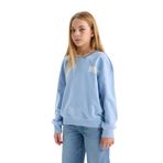 Defacto Relax Fit V Yaka Baskılı Sweatshirt Kız Çocuk, 5-6 Yaş, D6987A824WN, Mavi-BE734, kız-çocuk, 5/6 Yaş (116cm)