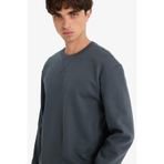 DeFacto T3777AZ25AU AR184 Antrasit Regular Fit Bisiklet Yaka Basic Erkek Sweatshirt