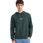 DeFacto Vikings Valhalla Regular Fit Kapüşonlu Sweatshirt, M, E9299AX25AU, Yeşil-GN536, erkek