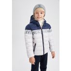 DeFacto X5454A622AU Erkek Çocuk Regular Fit Kapüşonlu Polar Astarlı Mont