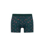 DeFacto Yıkbaşı Temalı Regular Fit Boxer, S, F5482AX25WN, Yeşil-GN651, erkek