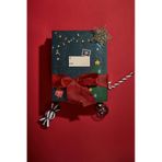 Defacto Yılbaşı Temalı Advent Calendar G2227AXNS