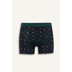 DeFacto Yılbaşı Temalı Regular Fit Boxer, S, F9924AX, D.GREEN, erkek