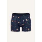DeFacto Yılbaşı Temalı Regular Fit Boxer, S, F9939AX25WN, Lacivert-NV135, erkek