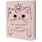 Deffter Caturday Not Defteri