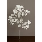 DEFNE DECOR Yapay Çiçek Dağ Gelinciği Tek Dal 90 cm Beyaz