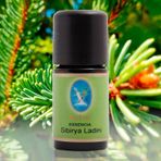 Defne Nuka Essencia 10 ml Sibirya Ladini Yağı