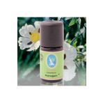 Defne Nuka Essencia 5 ml Karağan Yağı