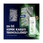 Defne Store Clear Kepeğe Karşı Etkili Şampuan Bitkisel Sentez Aloe & Çay Ağacı Yağı 350 ml - Option-1