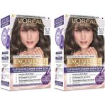 Defne Store Excellence Creme 6.11 Ekstra Küllü Koyu Kumral Saç Boyası (2 Paketi) - Option-1