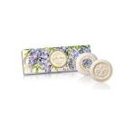 Defne Store Saponificio Artigianale Fiorentino Sabun 3X100 gr - Wisteria - Option-1