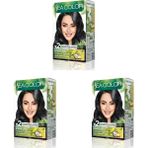 Defne Store Sea Color Amonyaksız, Vegan, Doğal, Besleyici Kalıcı Saç BOYASI%100 Beyaz Kapama (1 Paket 2 x 50 ml Boya & Oksidan)(Siyah 1.0) (3 Paketi) - Option-1