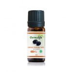 Defne Tohumu Yagi 100 Saf 10Ml