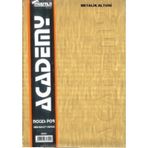 Defter 300 Yaprak Çizgili 20x28 Sert Kapak Ciltli Metalik Altuni