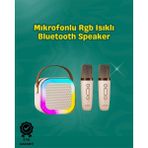 Değirmen Grup Iki Mikrofonlu Renkli LED Işıklı Karaoke Cihazı ( Lisinya )