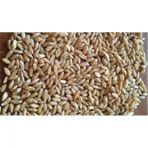 Değirmenim 1 kg İşlenmemiş Buğday