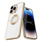 Deilmi iPhone 15 Pro Max Kılıf Hole Lazer Silikon Kapak Gold-Altın