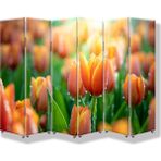 DEKOBUL Lale 6 Kanat Tekerlekli Kanvas Paravan - 240 x 180 cm
