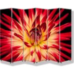 DEKOBUL Taç Çiçek 6 Kanat Tekerlekli Kanvas Paravan - 240 x 180 cm