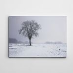 Dekolata Ağaç 70x100 cm Kanvas Tablo
