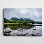 Dekolata Ağaçlar Kayalar Deniz 70x100 cm Kanvas Tablo