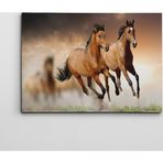 Dekolata Atlar 3 40x60 cm Kanvas Tablo