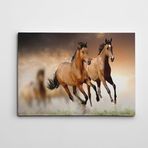 Dekolata Atlar 3 50x70 cm Kanvas Tablo