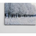 Dekolata Donmuş Topraklar 40x60 cm Kanvas Tablo