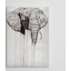 Dekolata Fil 35x50 cm Kanvas Tablo