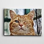 Dekolata Göz Kırpan Kedi 20x30 cm Kanvas Tablo