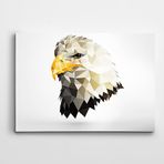 Dekolata Kartal Low Poly Kanvas Tablo 70 x 100 CM