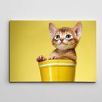 Dekolata Kovada Sevimli Yavru Kedi 50x70 cm Kanvas Tablo