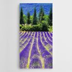 Dekolata Lavantalar Çam Ağaçları Kanvas Tablo 30 x 60 CM