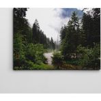 Dekolata Nehir ve Orman 40x60 cm Kanvas Tablo