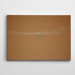 Dekolata Örümcek 70x100 cm Kanvas Tablo
