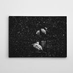 Dekolata Pelikan Siyah Beyaz 35x50 cm Kanvas Tablo