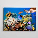 Dekolata Renkli Balıklar 60x85 cm Kanvas Tablo
