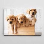 Dekolata Sandıkta Sevimli Köpekler 20x30 cm Kanvas Tablo