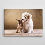 Dekolata Sevimli Kaniş Ve Yavru Kedi 70x100 cm Kanvas Tablo