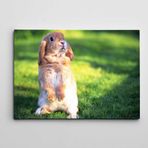 Dekolata Sevimli Tavşan 100x140 cm Kanvas Tablo