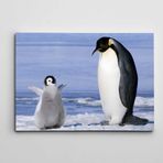 Dekolata Sevimli Yavru Penguen 25x35 cm Kanvas Tablo