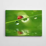 Dekolata Uğur Böceği 40x60 cm Kanvas Tablo