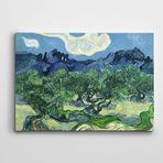 Dekolata Vincent Van Gogh Olive Trees Kanvas Tablo 40 x 60 CM